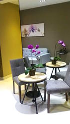 Vanadium (D8), Apartment #106443472